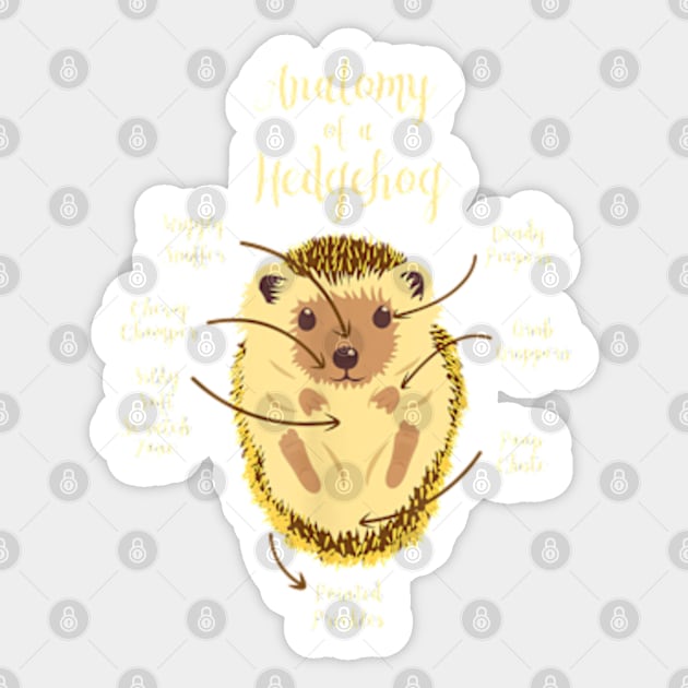 Kids Anatomy Of Hedgehogs Clothes Outfit Art Gift Hedgehog Sticker by YolandaRoberts